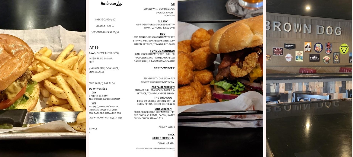 The Brown Dog Gallery Image 1